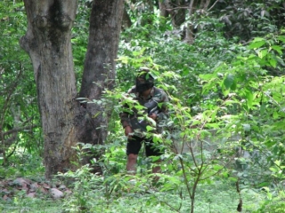 Aprovecha la naturaleza